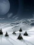 pic for winter moon